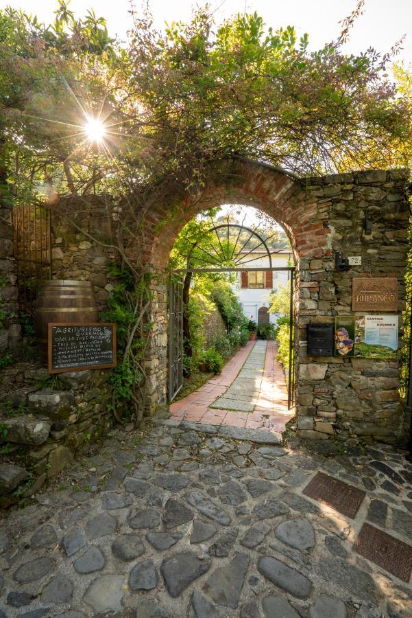 Agriturismo Buranco Villa Monterosso al Mare Exterior photo